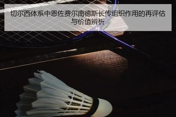 切尔西体系中恩佐费尔南德斯长传组织作用的再评估与价值辨析